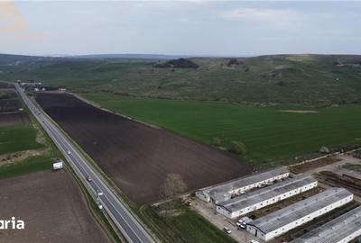 Teren de 40000 mp, în Ilișești - 5