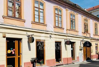 Afacere tip restaurant, Piata Unirii - 10