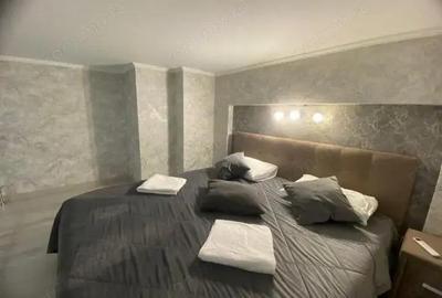 Oferim spre inchiriere garsoniera in zona Chitila - 4