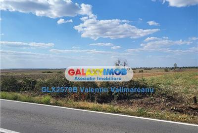 Teren Intravilan - 1