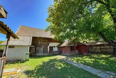 FILM! Doua case+anexe,rezidential comercial de vacanta,Zagon,Covasna - 4