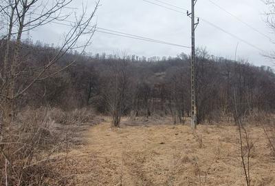 Teren de 2800 mp, în Sovata - 3