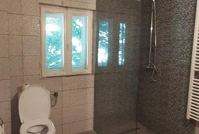 Studio cu garaj și boxă ultracentral - 8