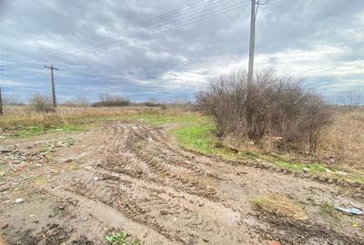 Teren constructii pt HALE 5100mp DJ 593 la CAP Sag Teren constructii pt HALE 5100mp DJ 593 la CAP Sag - 2