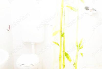 Casă cu 6 camere în Elisabetin - 10
