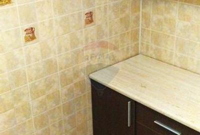 Apartament cu 2 camere de vanzare in zona 1 Mai Insula - 14