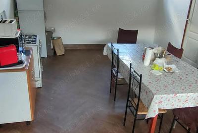 Casă cu 3 camere în Sânandrei - 2