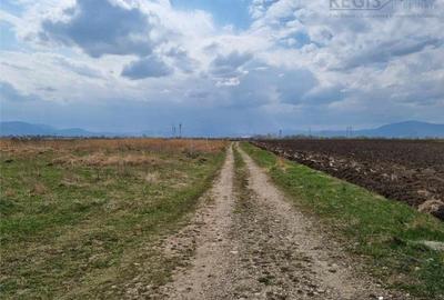 Teren Intravilan de 1511mp cu PUZ aprobat zona Sanpetru - 5