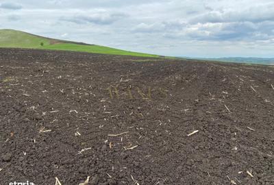 Spațiu comercial, în Țagu - 4