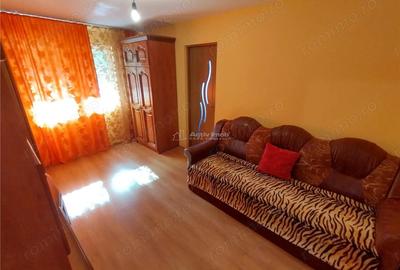 Apartament cu 2 camere nedecomandat, mobilat în Vest - 10