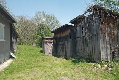 Casă cu 2 camere cu Teren 500 Mp în Tranișu - 4