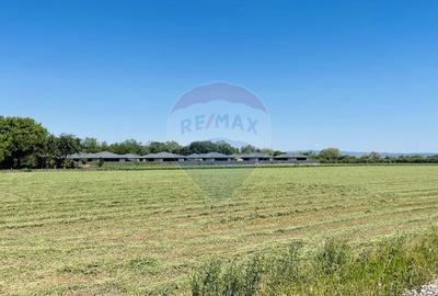 Teren intravilan 10.000 mp in Stupini, Brasov - 7