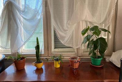 Vand apartament ultracentral, la casa, in Lugoj - 8