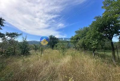 Teren de Vanzare 1172 mp Dumbrava Ro?ie, Neam? - 3