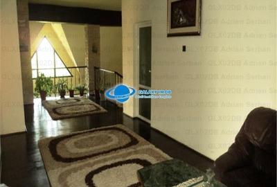 Vanzare vila P+M Targoviste, exterior sud - 10