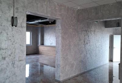 Spațiu comercial, de 220 mp, în Elisabetin - 3