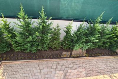 Imobil nou -Afacere,Birouri - 3