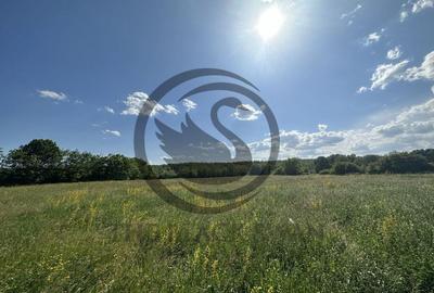 Teren Vanzare 11.000 MP Ghirdoveni | Comision 0% - 8