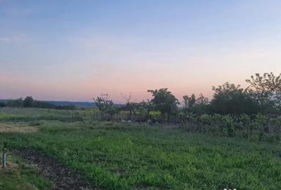 Teren de 3000 mp, în Vărăști - 9