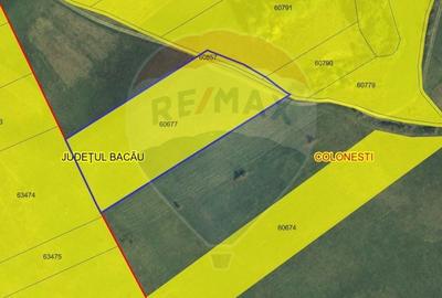 Teren agricol extravilan de 206900 mp, în Colonești