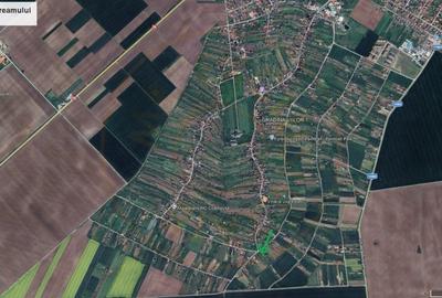 De vanzare Teren extravilan 2000 mp Carei - Gradina Viilor, Valea Tireamului - 10