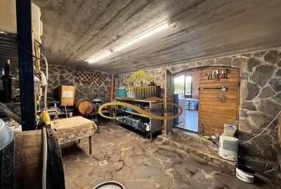 Casa si terasa de vanzare in Magura Bacau - 18