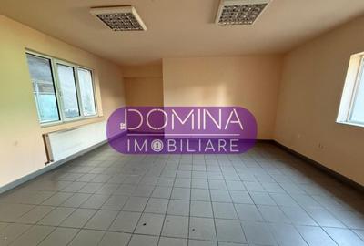 Proprietate industriala - Tg. Jiu - teren + hala + birouri - 5