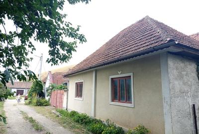 Casă individuală cu 14 camere cu Teren 1439 Mp în Brădișoru de Jos - 35