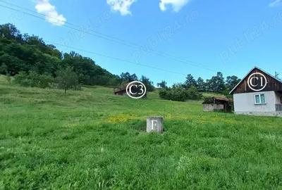 Vand Proprietate (casa, ?ura ?i teren) in Valea Bradului, Mun. Brad, Jud. Hunedoara - 10