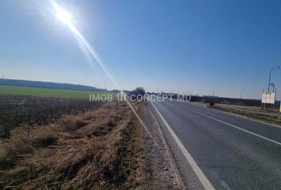 Vanzare Teren Extravilan 11000 mp, in Aricestii Rahtivani, Jud Prahova - 8