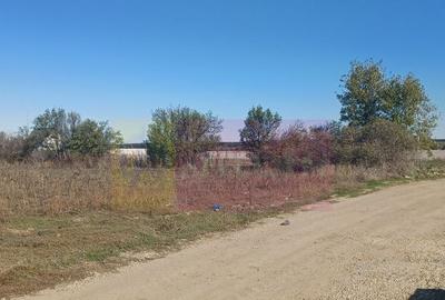 Sabareni, teren rezidential 6290 mp, cu 52m FS, utilita... - 5