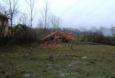 Teren de 2656 mp, în Drăgăneasa - 2