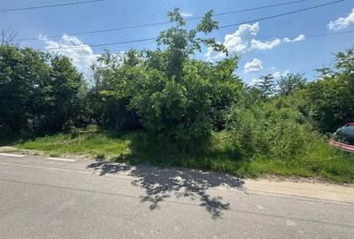 Teren de 1062 mp, în Brănești - 1