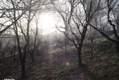 Casă cu 8 camere cu Teren 1900 Mp în Central - 1