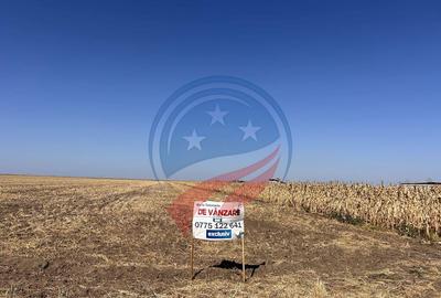 Teren de 5041 mp, în Pielești - 1