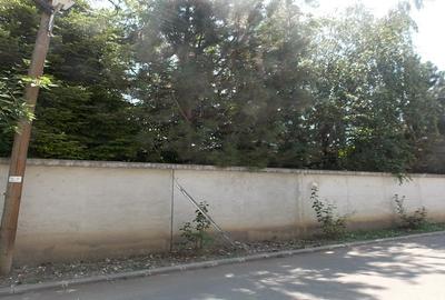 Teren Intravilan ,Padurea Baneasa , Voluntari - 1