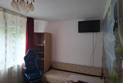 Apartament cu 3 camere semidecomandat, mobilat în Podul de Piatră - 24