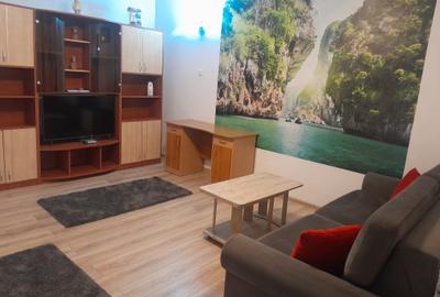 Garsonieră, mobilată în Coiciu