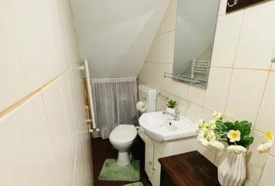 BRANCOVEAN Pta Resita,DECOMANDAT,Amenajat,2 bai,centrala,mobilat,utilat,complet - 5