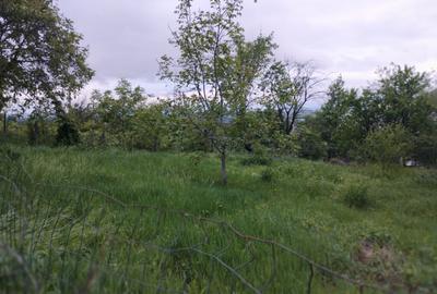 65000euro!!Bucium!Teren intravilan 1500mp,asfalt! 65000euro!!Bucium!Teren intravilan 1500mp,asfalt! - 2