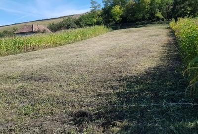 Teren Construcții intravilan de 2900 mp, în Căianu - 4