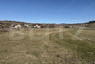 Teren de 5800 mp, în Hereclean - 6