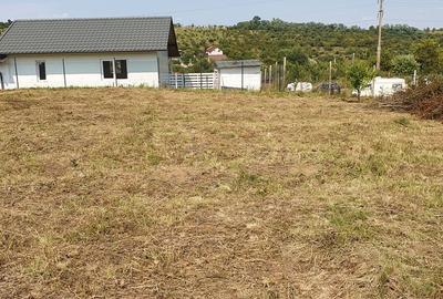 Spațiu comercial, în Daia - 2