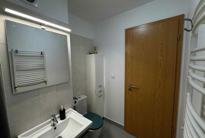 Apartament cu 2 camere semidecomandat în Gorjului - 8