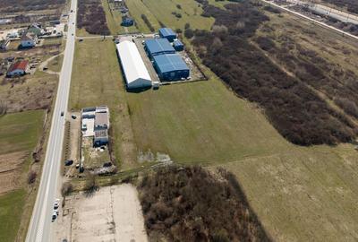 Teren agricol extravilan de 7194 mp, în Păltiniș - 5