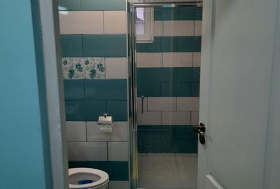 Casă cu 4 camere cu Teren 1400 Mp în Silvașu de Jos - 6