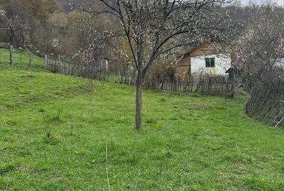 Teren de 3608 mp, în Șuta - 3