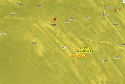 Teren de 21967 mp, în Vica - 2