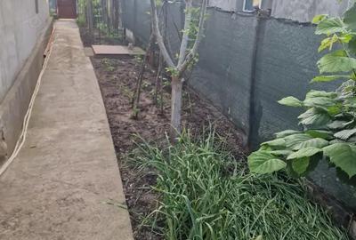 Casă cu 3 camere în Slobozia Nouă