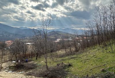 Teren intravilan 5.000 mp Cisnadioara / jud. Siibu - 6